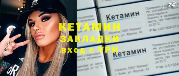 индика Бородино