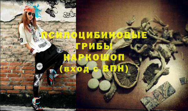 Альфа ПВП Богданович