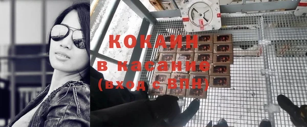 сатива Богородск
