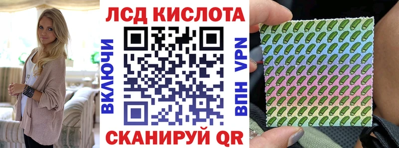 дарнет шоп  Яровое  Наркотические марки 1,5мг 
