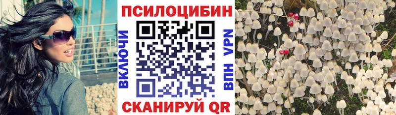 Псилоцибиновые грибы Psilocybe где можно купить наркотик сайты даркнета Telegram Яровое